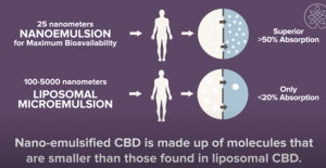 nanoemulsión liposomal