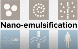 cbdnanoemulsion